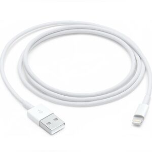 Apple Lightning to USB Cable (1 m)